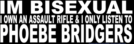 Phoebe Bridgers Bisexual Assault Rifle Sticker