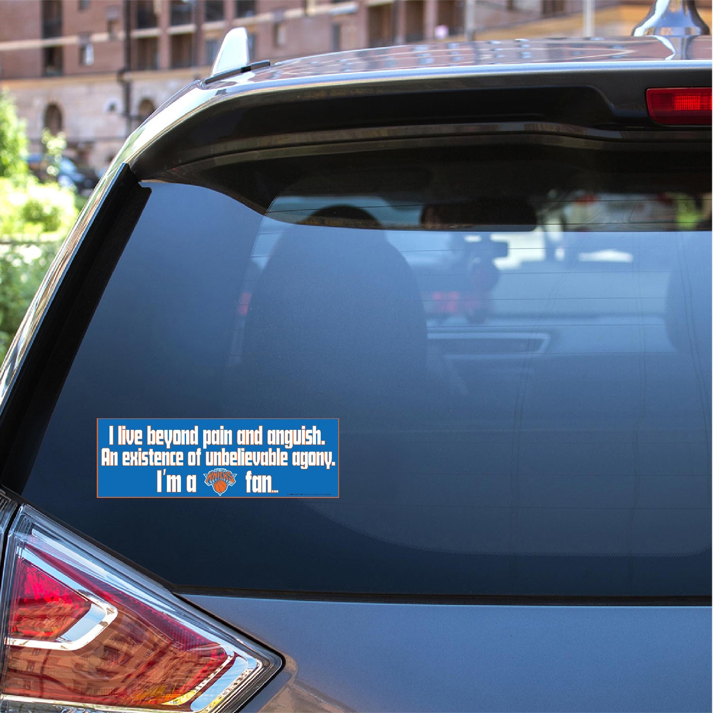 Knicks/ Purgatory Sticker