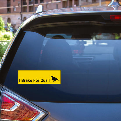 I Brake for Quail Bumper Sticker