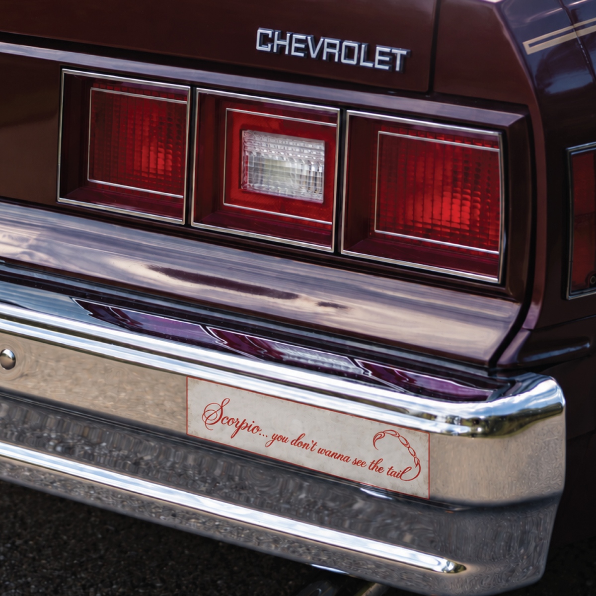 Scorpio Bumper Sticker